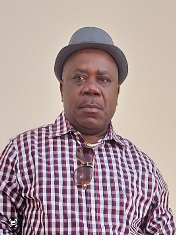 Laurent Mbokani Milingita, Vice-Président